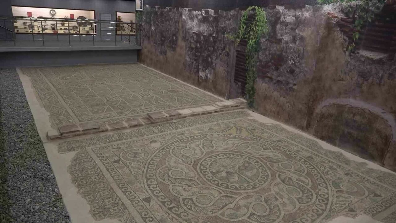 Üstünde elma ağacı olan tek antik mozaik Amasya’da