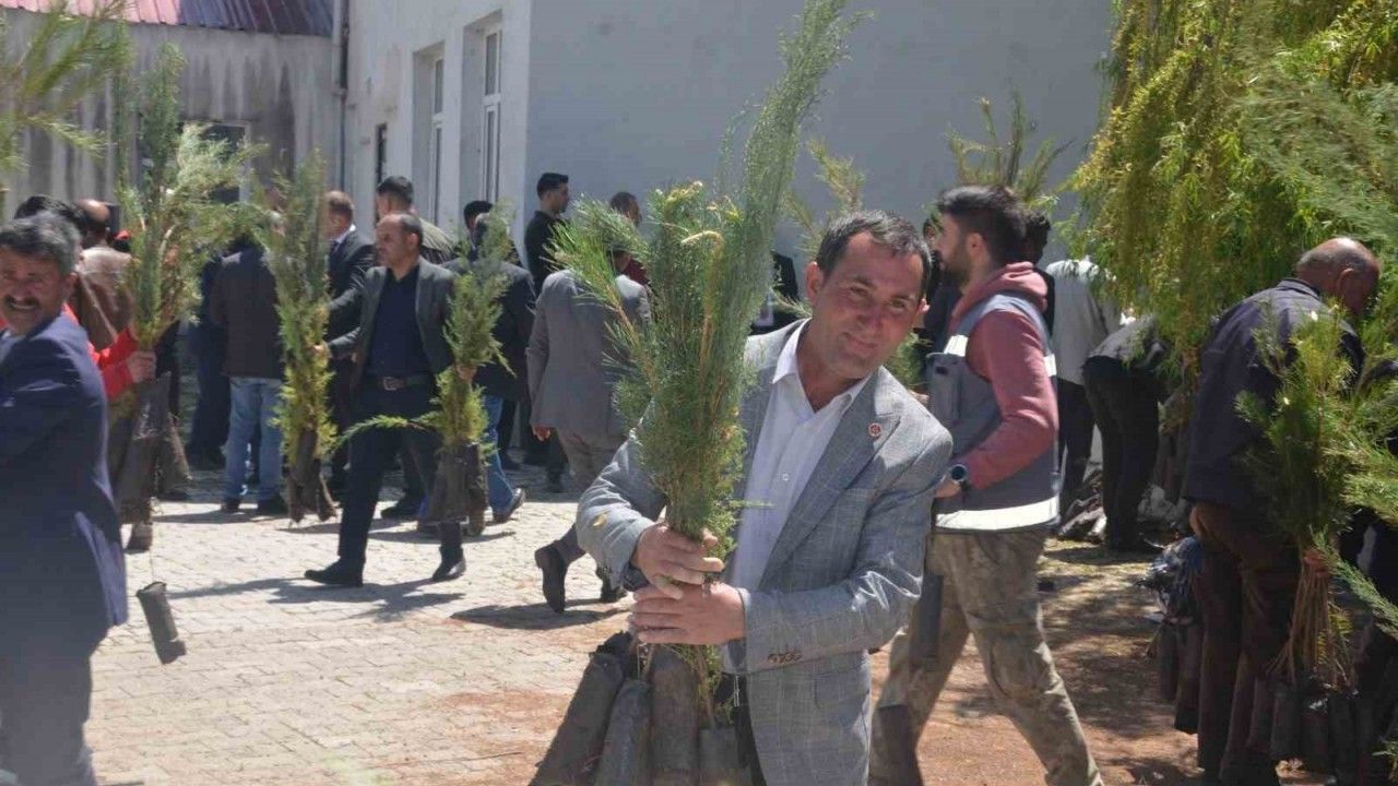 Bulanık’ta 5 bin çam fidanı dağıtıldı