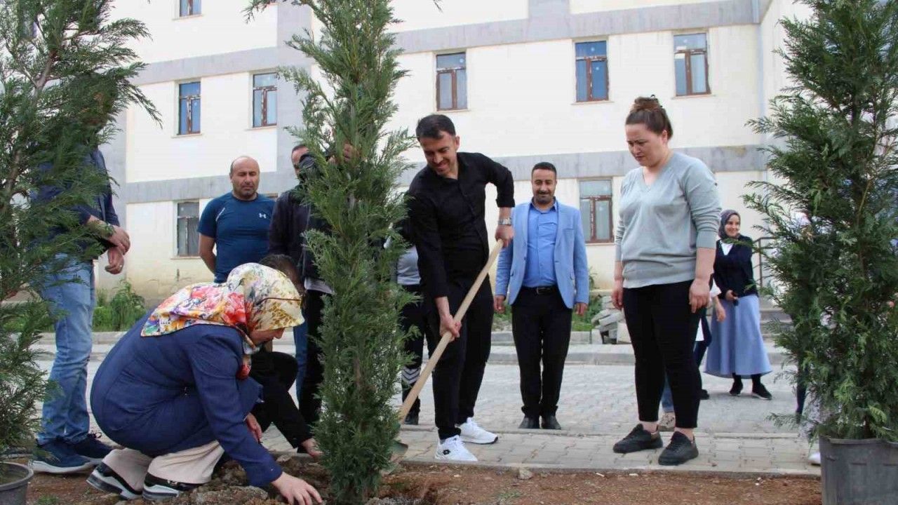 Hakkari’de fidan dikimi