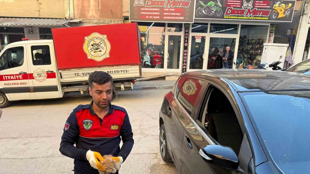 Otomobilin motor kısmına giren yavru kediyi itfaiye kurtardı