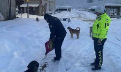 Polis Ekiplerinden Sokak Hayvanlarına Destek