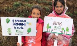 ‘81 İlde 81 Orman’ projesi Bitlis’te