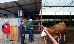 ‘Anneleri Aşılat, Buzağını Yaşat’ projesi eğitim toplantısı Ortaca’da gerçekleştirildi