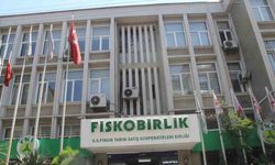 Giresun Üniversitesi ile FİSKOBİRLİK arasında arazi satışı gerginliği
