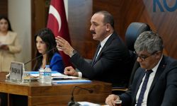Muhtarlar talep etti, Kotan yanıtladı