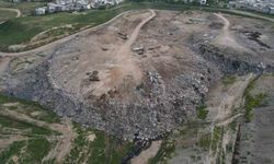 Osmangazi’de hayvan katliamı kenti ayağa kaldırdı
