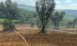 Tarım arazilerinizi koruyun, hisseli satışlara dikkat