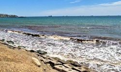 Tekirdağ’da poyraz sonrası deniz yüzeyi kızıl yosunla kaplandı