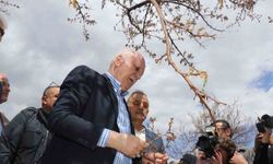 TZOB Genel Başkanı Bayraktar: "Kayısıda yüzde yüzlere varan zarar tespit ettik"