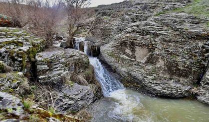 Ağrı’nın saklı güzelliği Bekiran Şelalesi baharda güzelliğiyle mest ediyor