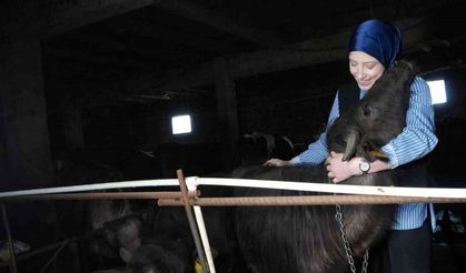 Bayburt’un tek kadın manda yetiştiricisi devlet desteğiyle kendi çiftliğini kurdu: Mandaları köyün simgesi oldu