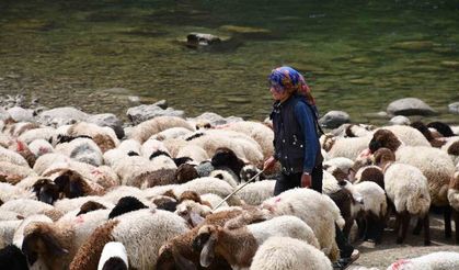 Bir çocuğun sessiz çığlığı: "Hiç oyuncağım olmadı"