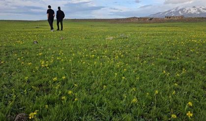 Bitlis’in saklı güzellikleri: Cil Gölü ve Sütey Yaylası