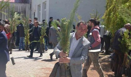Bulanık’ta 5 bin çam fidanı dağıtıldı