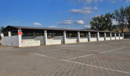 Bursa’nın Yenişehir ilçesinde şap karantinası