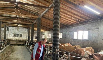 Çarşamba’da şap hastalığı taraması