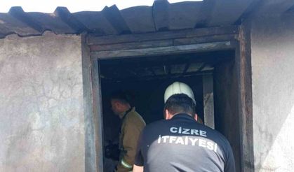 Cizre’de odunlukta çıkan yangın paniğe neden oldu