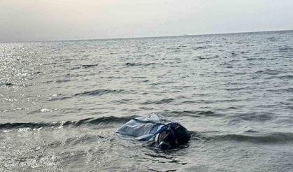 Denizden balık yerine angus çıktı