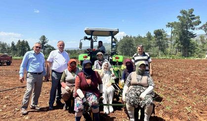 Emekçi kadınlar Anneler Gününü tütün tarlasında kutladı
