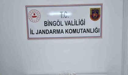 Genç’te uyuşturucu operasyonu