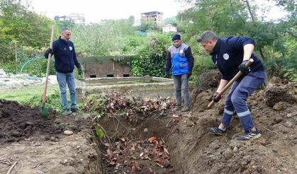 Giresun’da balık atıkları gübre ve yeme dönüşüyor