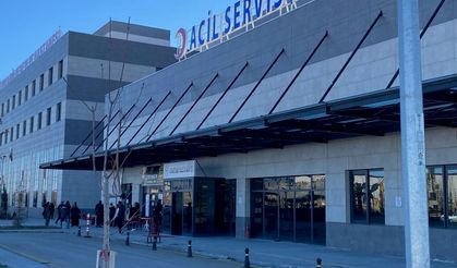 Havyan otlatma kavgası kanlı bitti: 1 yaralı