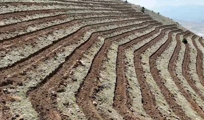 Niğde’nin Himmetli Köyü’nde 100 hektarlık alanda ağaçlandırma yapılacak