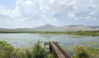 ‘Nilüfer Cenneti’ olarak bilinen o göl sportif olta balıkçılığına açıldı