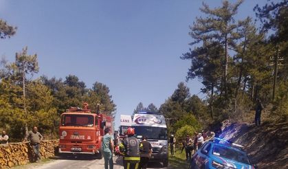 Odun sterine çarpan otomobil takla attı