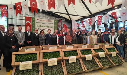 Silivri’de üreticiye 614 bin fide ve 4 ton tohum desteği