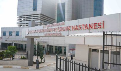 Şırnak’ın ebeleri anneliği anlattı