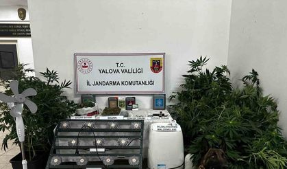 Yalova’da evinde uyuşturucu yetiştiren şüpheli tutuklandı