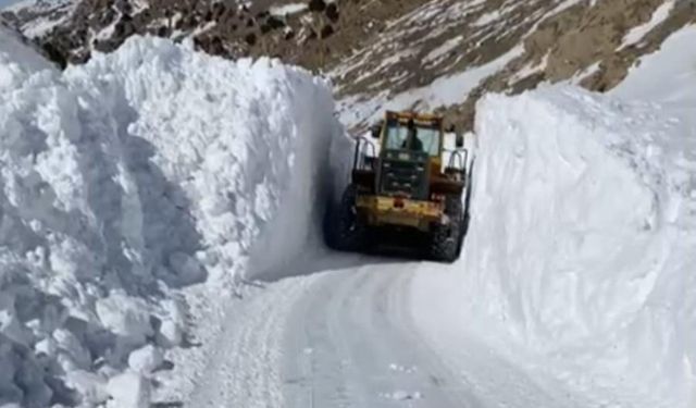 Başkale’de kar yağışı: 50 yerleşim yerinin yolu ulaşıma kapandı