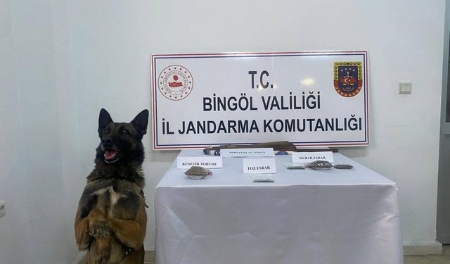 Bingöl’de uyuşturucu madde ve 3 adet tüfekle ele geçirildi