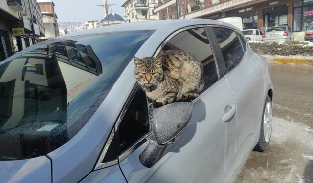 Çekerek’te kartpostallık kar manzaraları oluştu