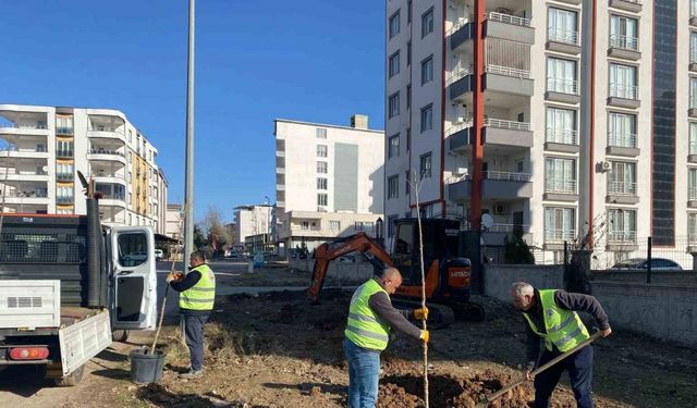 Kahta Belediyesi, ağaçlandırma çalışmalarına hızla devam ediyor