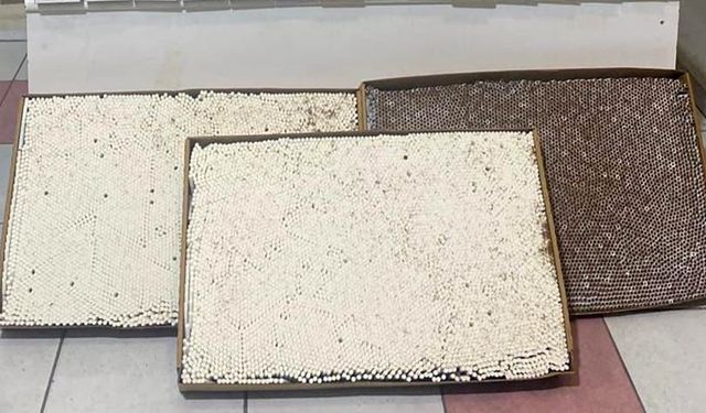 Kırıkkale’de 46 bin 700 kaçak makaron ele geçirildi