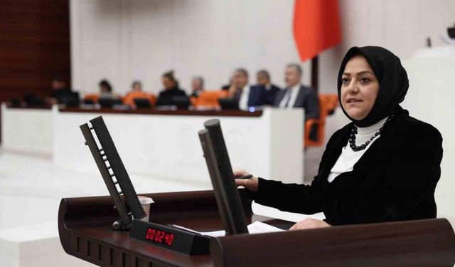 Milletvekili Ün: "TÜBİTAK’ın reddettiği projeler yurt dışında ödüllendiriliyor"