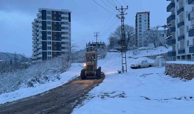 Ordu’da karla mücadele sürüyor