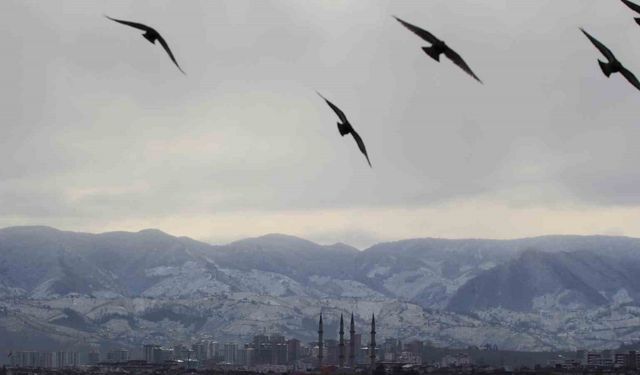 Ordu’dan şehir ve kar manzarası