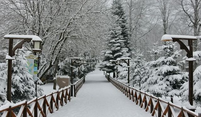 Ordu’nun 16 ilçesinde eğitime kar engeli