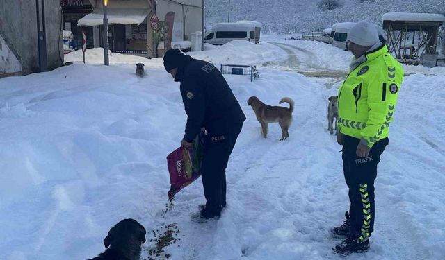 Polis Ekiplerinden Sokak Hayvanlarına Destek