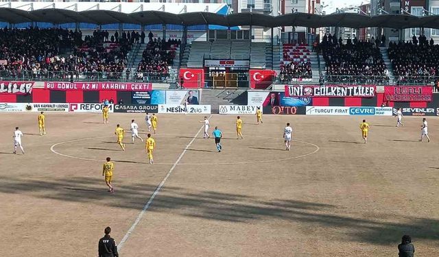 TFF 2. Lig: Vanspor FK ve Menemen Futbol Kulübü 2-2 Beraber Kaldı