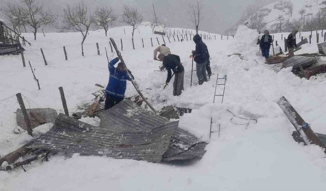 Trabzon’da kar nedeniyle ahırın çatısı çöktü