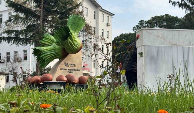 Ünye’de ‘fındık figürlü’ park yenileme çalışması