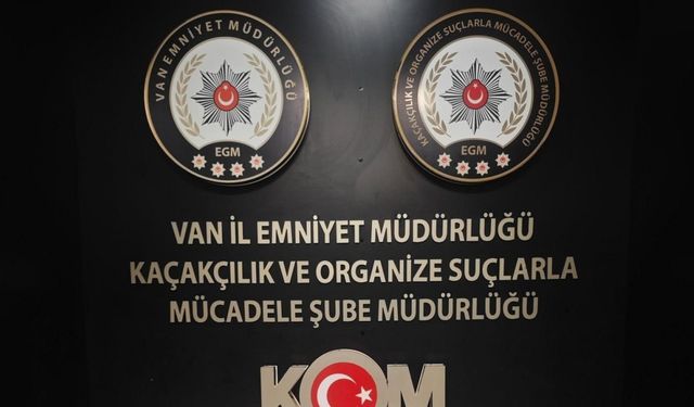 Van’da gümrük kaçakçılığı operasyonu