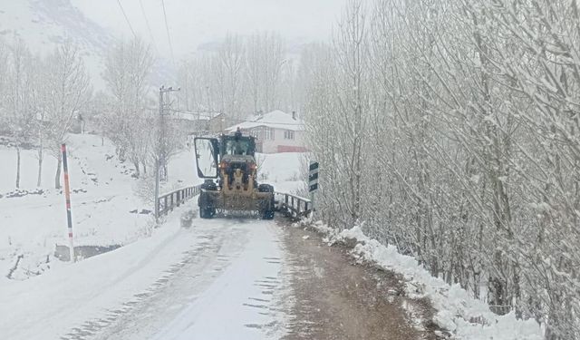 Van’da kar yağışı: 264 yerleşim yerinin yolu kapandı