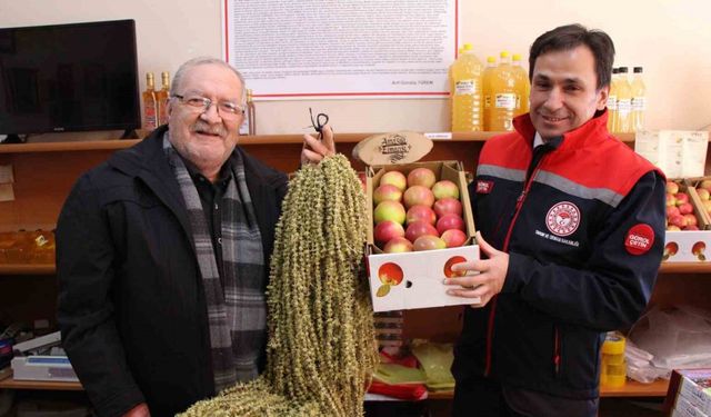 Amasya’nın misket elması ve çiçek bamyası AB’ye tescil yolunda