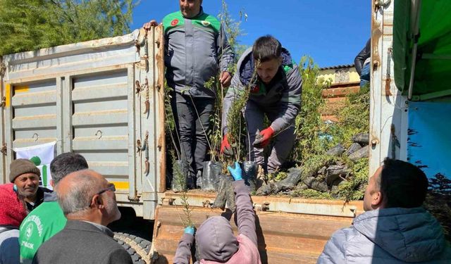 Ayvacık’ta 3 bin fidan dağıtıldı