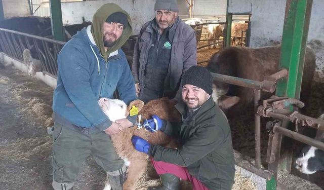 Beyşehir’de şap aşısı kampanyası sürüyor
